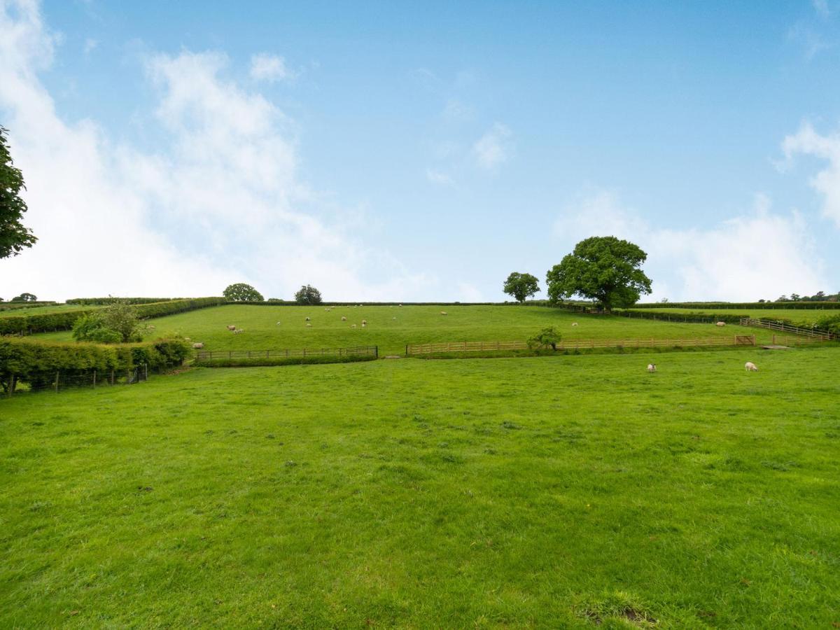 Brook Cottage Stearsby Dış mekan fotoğraf